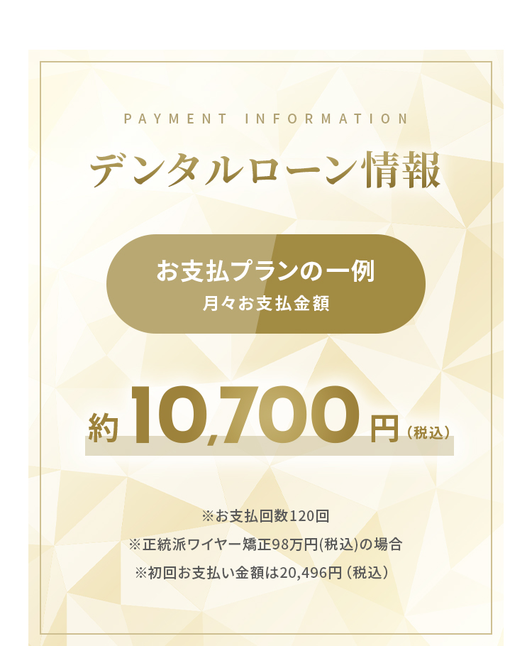 デンタルローン情報 お支払プランの一例(月々お支払金額)約10,700円(税込)